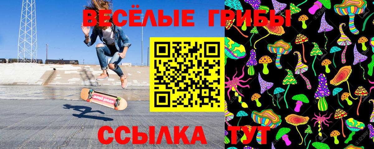 Псилоцибиновые грибы прущие грибы  купить   Алейск  Вход с VPN 